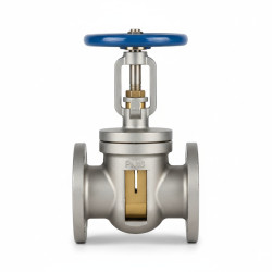 How to Troubleshoot Gate Valve Replacement Issues at Home